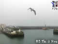  Webcam du port de l'Ile d'Yeu en panoramique HD - ID N°: 302 sur france-webcams.fr