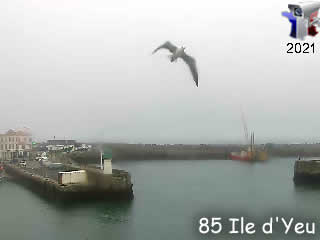 Aperçu de la webcam ID302 : L'île d'Yeu - Le port pano HD - via france-webcams.fr