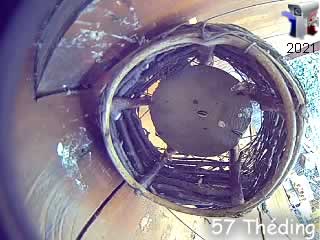 Le nid de rouge-queues en direct - via france-webcams.fr